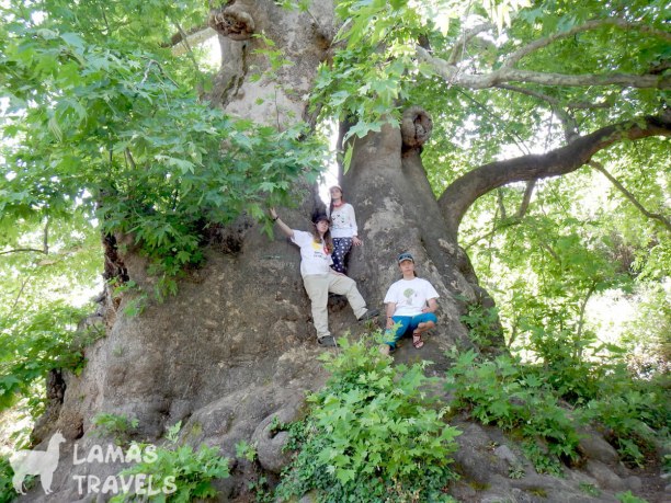 Ликийская тропа. Часть 3 (Гедельме - Тахталыдаг): Фото 7