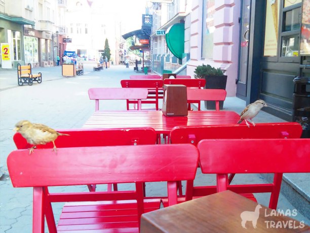 Кафе в Ужгороде.