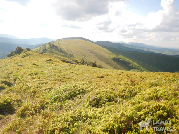 Хребет купается в солнечных лучах.