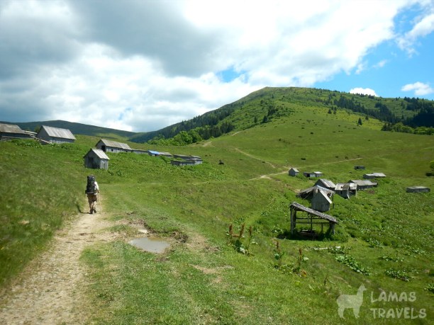 Полонина Менчул. По дороге на Петрос. Закарпатский туристический путь.