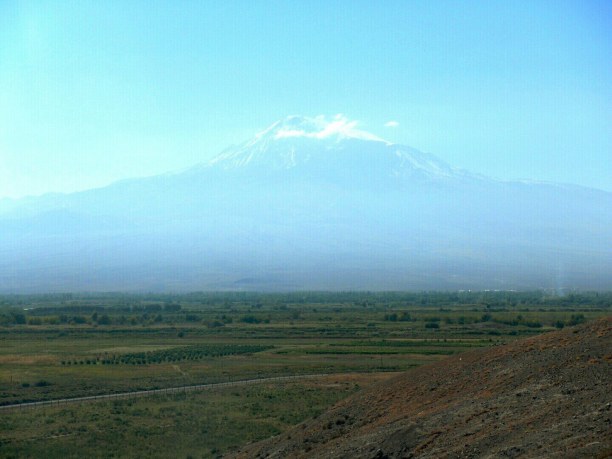 Ламы на Кавказе (live). Часть 5 Фото 41