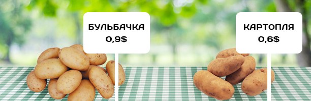 Сравнение цен на картошку в Украине и Беларуси (Киев и Минск).