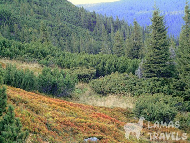 Впервые выше двух тысяч. Фото 11