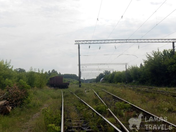 Тоннель любви. Фото 4